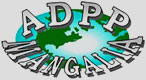 lucrare geotehnica ADPP Mangalia
